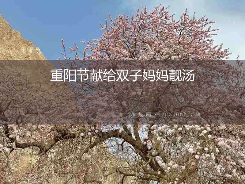 重陽節(jié)獻(xiàn)給雙子?jì)寢岇n湯
