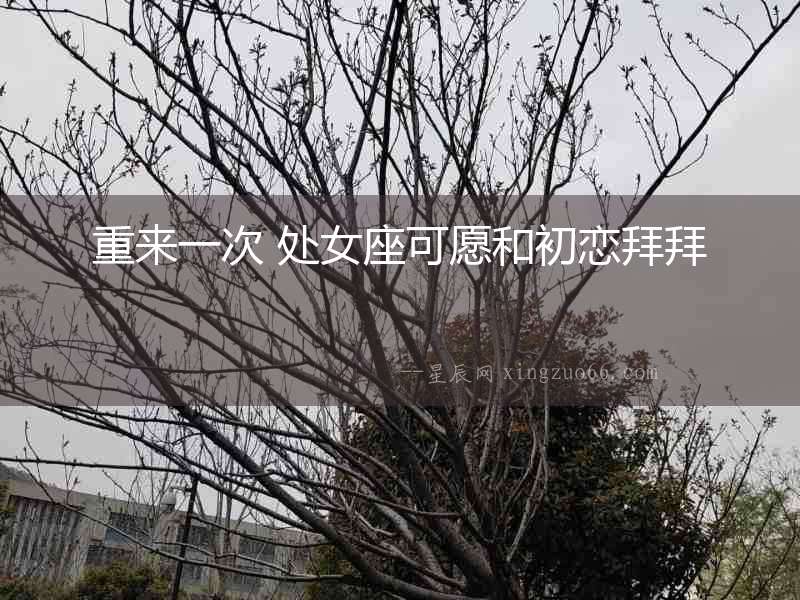 重來一次 處女座可愿和初戀拜拜