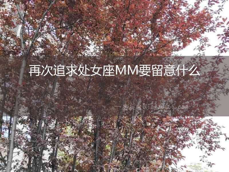 再次追求處女座MM要留意什么