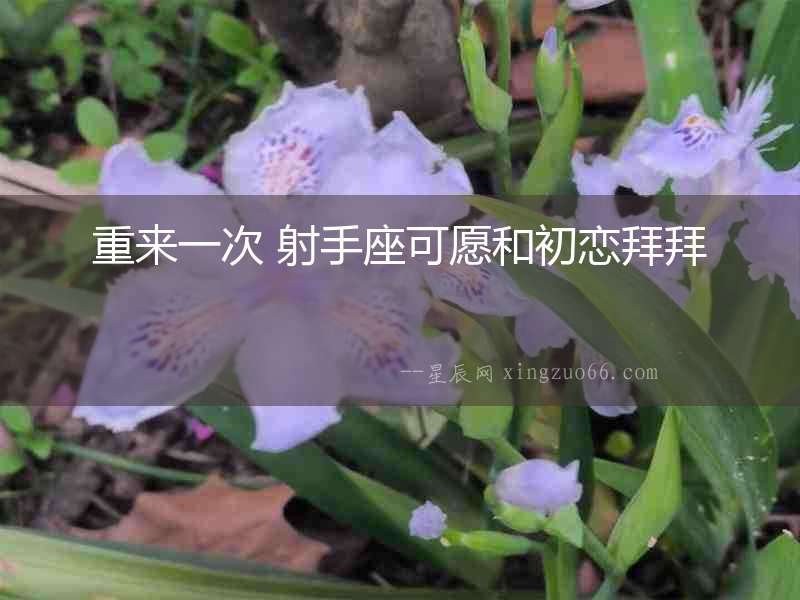 重來一次 射手座可愿和初戀拜拜