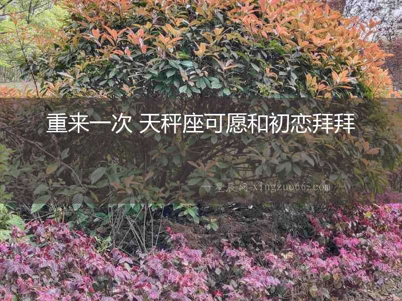 重來一次 天秤座可愿和初戀拜拜