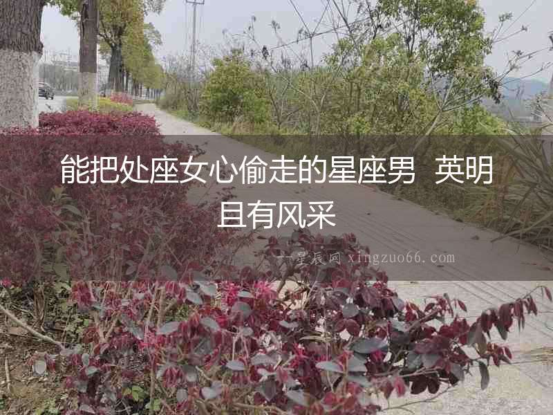 能把處座女心偷走的星座男  英明且有風采