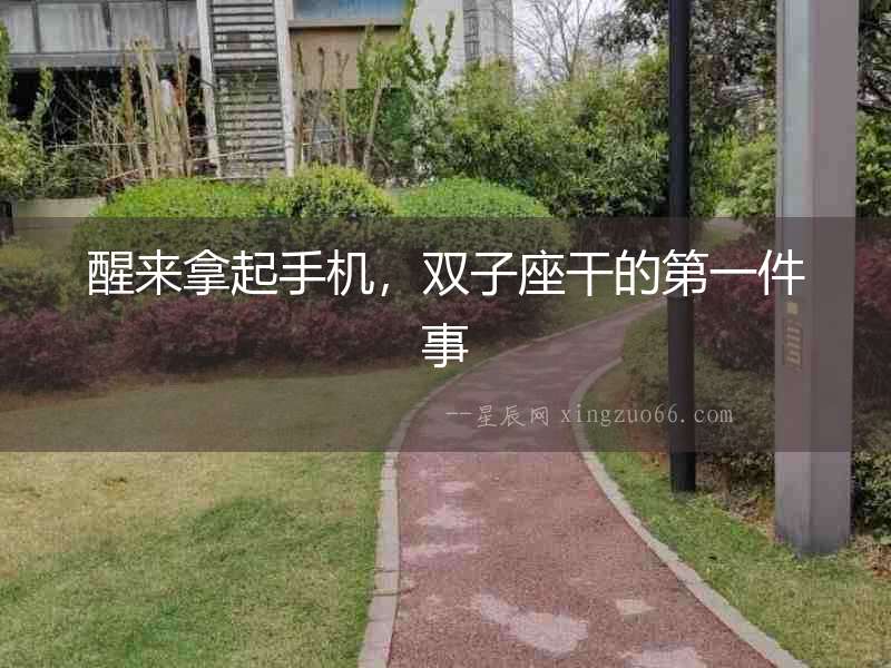 醒來拿起手機，雙子座干的第一件事