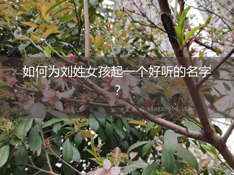 如何為劉姓女孩起一個好聽的名字？
