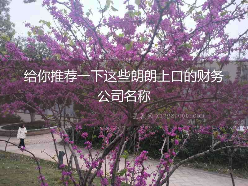 給你推薦一下這些朗朗上口的財務公司名稱
