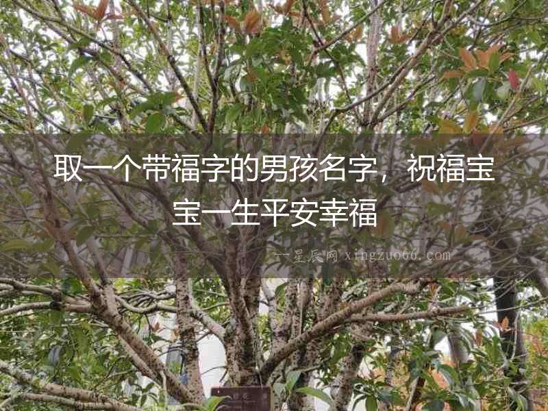 取一個帶福字的男孩名字，祝福寶寶一生平安幸福