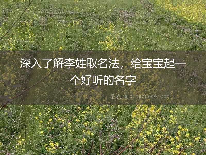 深入了解李姓取名法，給寶寶起一個(gè)好聽的名字