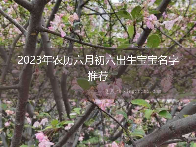 2023年農歷六月初六出生寶寶名字推薦