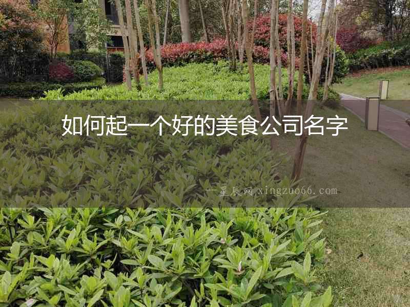 如何起一個好的美食公司名字