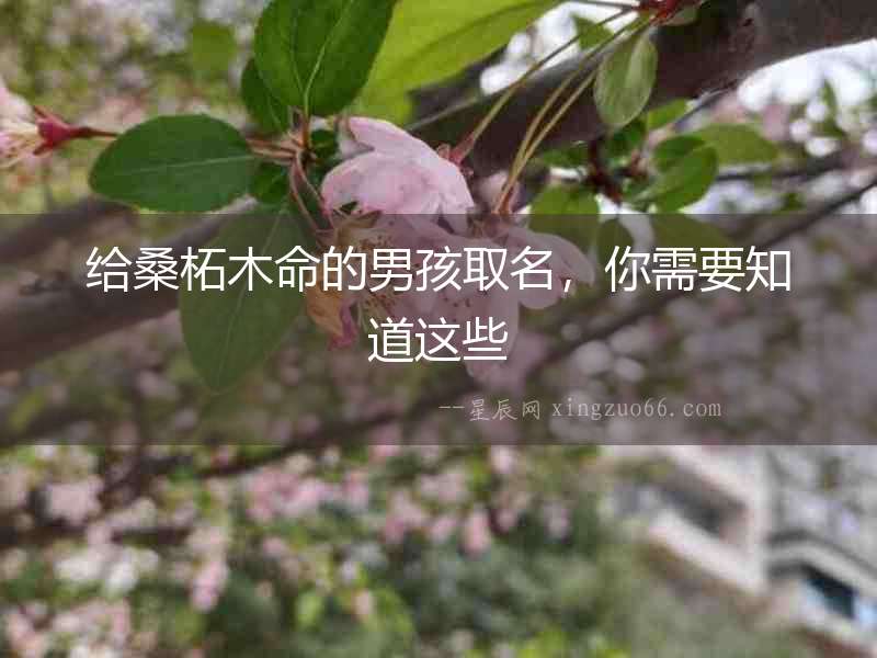 給桑柘木命的男孩取名，你需要知道這些