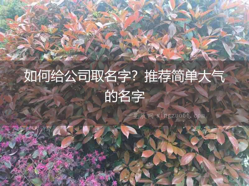 如何給公司取名字？推薦簡單大氣的名字