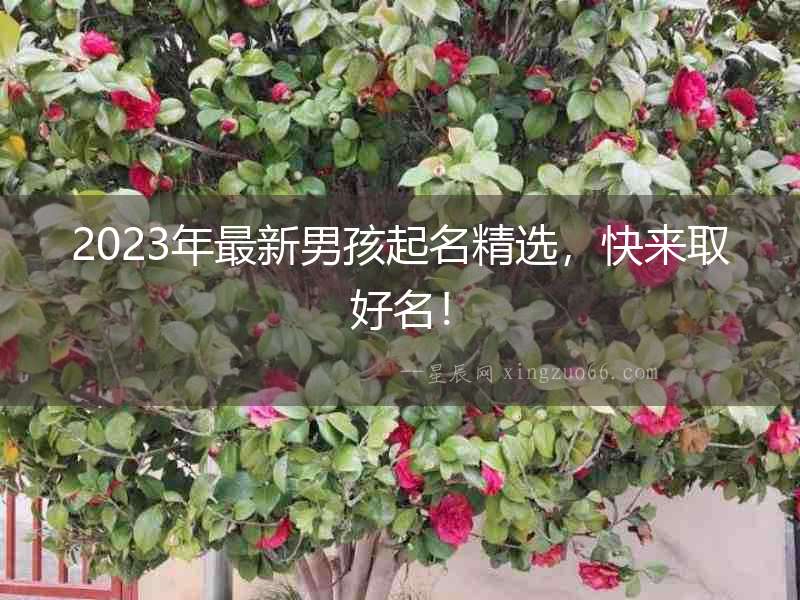 2023年最新男孩起名精選，快來取好名！