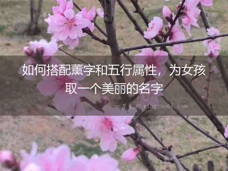如何搭配薰字和五行屬性，為女孩取一個美麗的名字