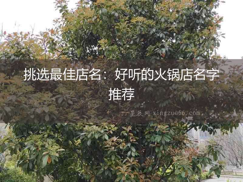 挑選最佳店名：好聽的火鍋店名字推薦