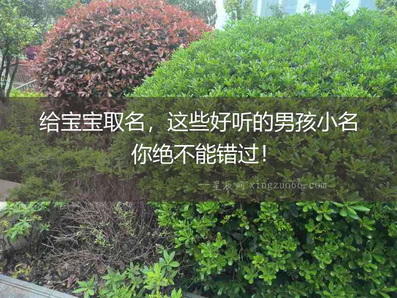 給寶寶取名，這些好聽的男孩小名你絕不能錯過！
