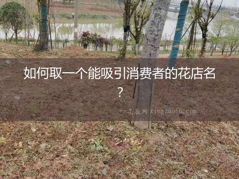如何取一個能吸引消費者的花店名？