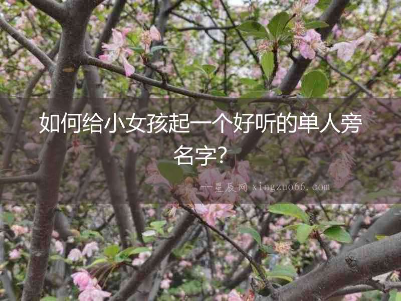 如何給小女孩起一個好聽的單人旁名字？