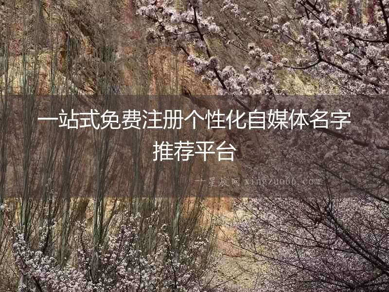 一站式免費(fèi)注冊(cè)個(gè)性化自媒體名字推薦平臺(tái)