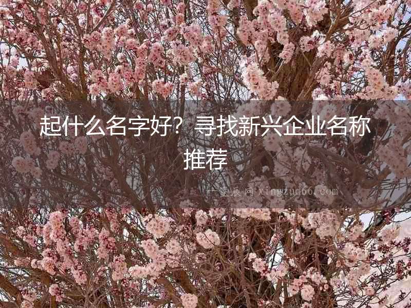 起什么名字好？尋找新興企業名稱推薦