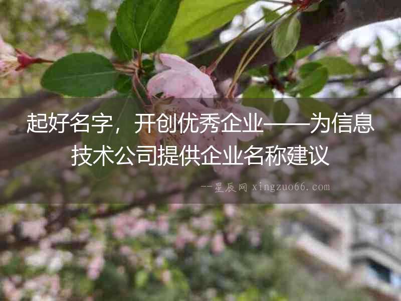 起好名字，開創優秀企業——為信息技術公司提供企業名稱建議