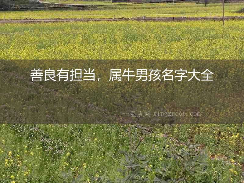 善良有擔(dān)當(dāng)，屬牛男孩名字大全