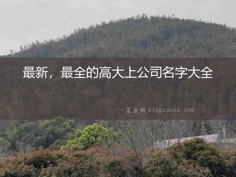 最新，最全的高大上公司名字大全