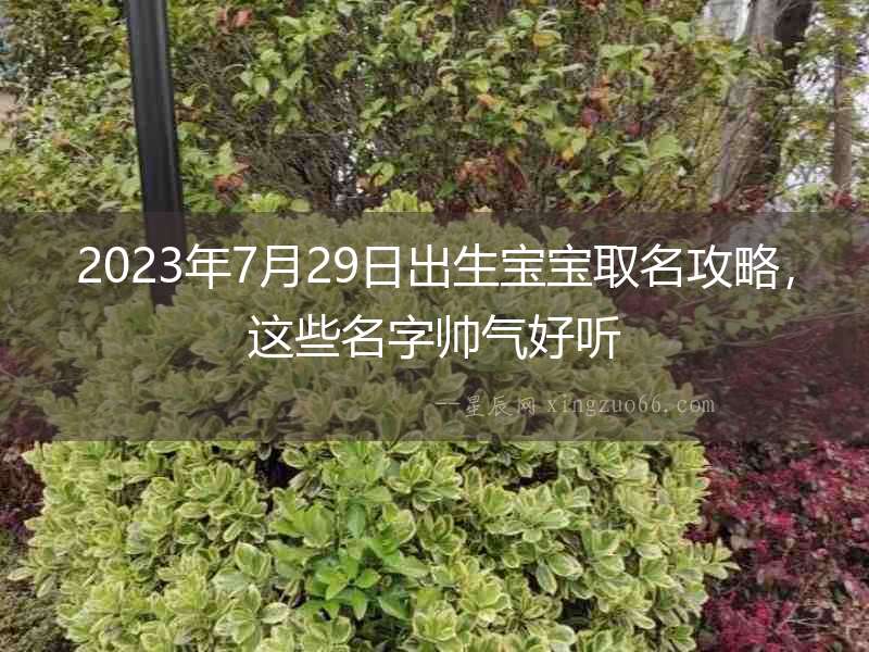 2023年7月29日出生寶寶取名攻略，這些名字帥氣好聽