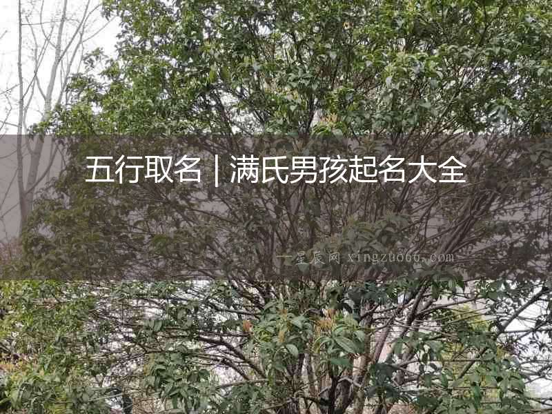 五行取名 | 滿氏男孩起名大全