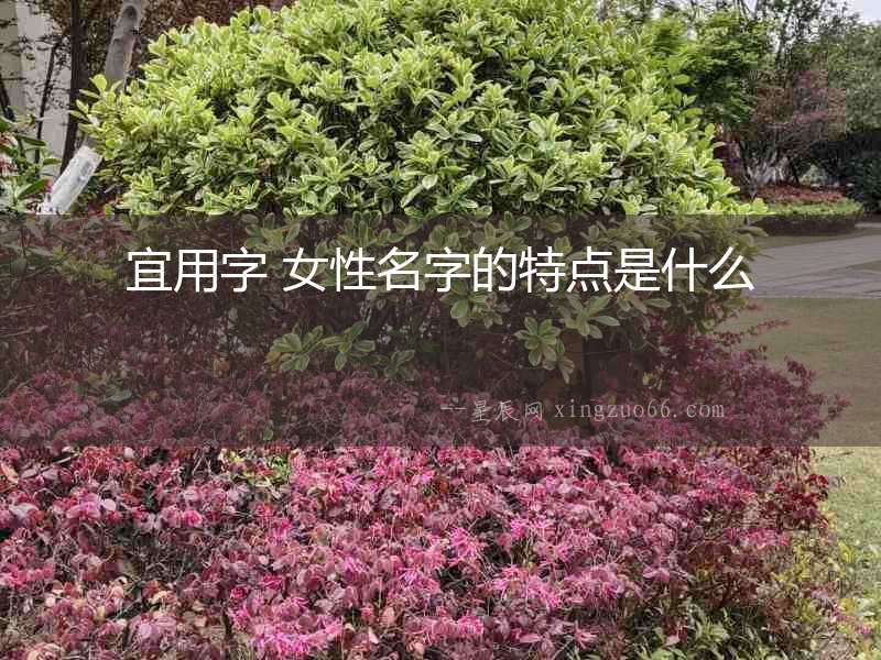 宜用字 女性名字的特點是什么