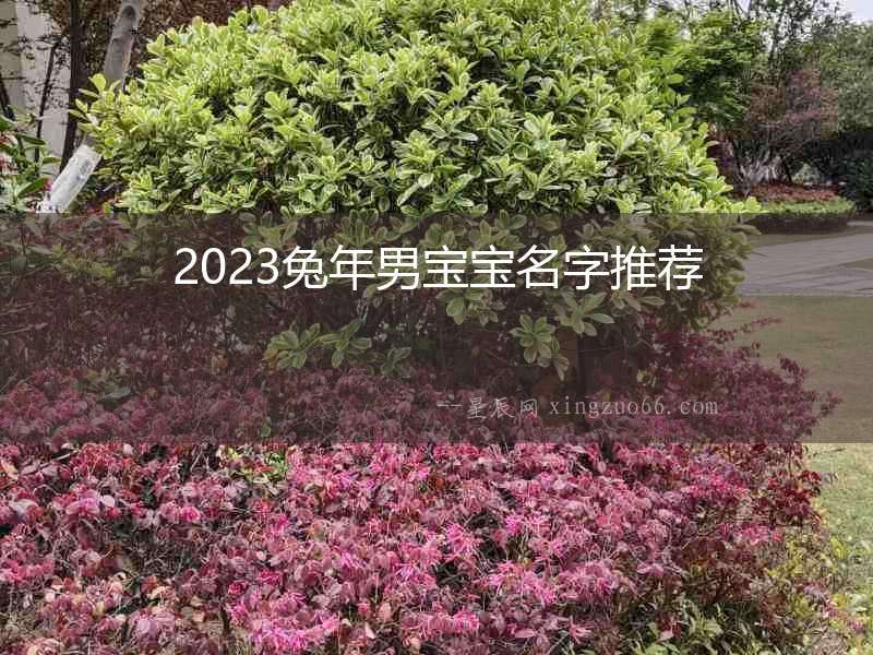 2023兔年男寶寶名字推薦