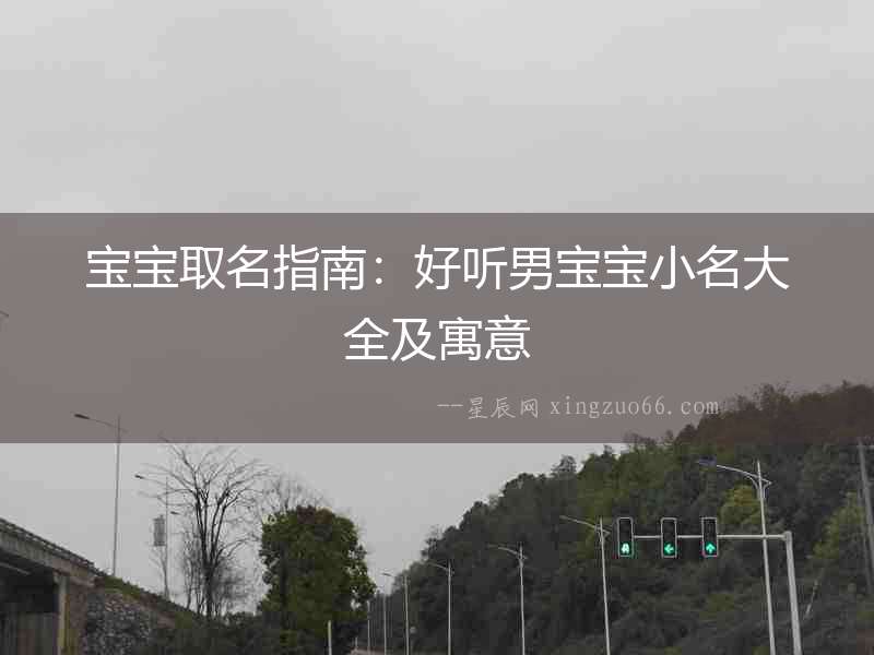 寶寶取名指南：好聽男寶寶小名大全及寓意