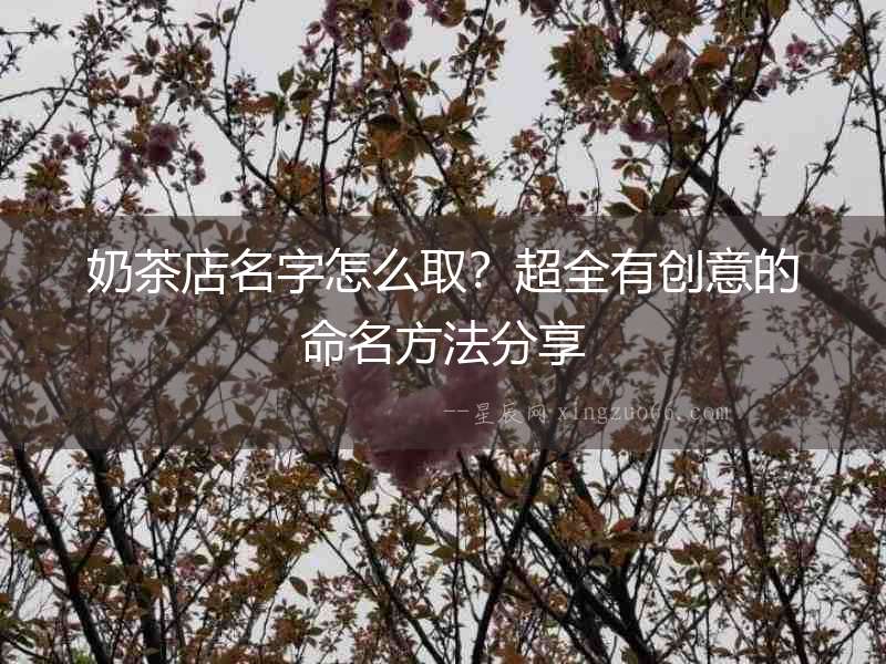 奶茶店名字怎么取？超全有創意的命名方法分享