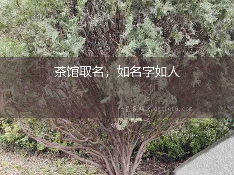 茶館取名，如名字如人