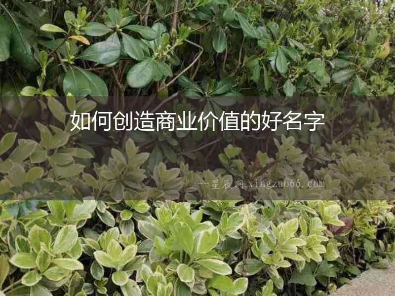 如何創(chuàng)造商業(yè)價值的好名字