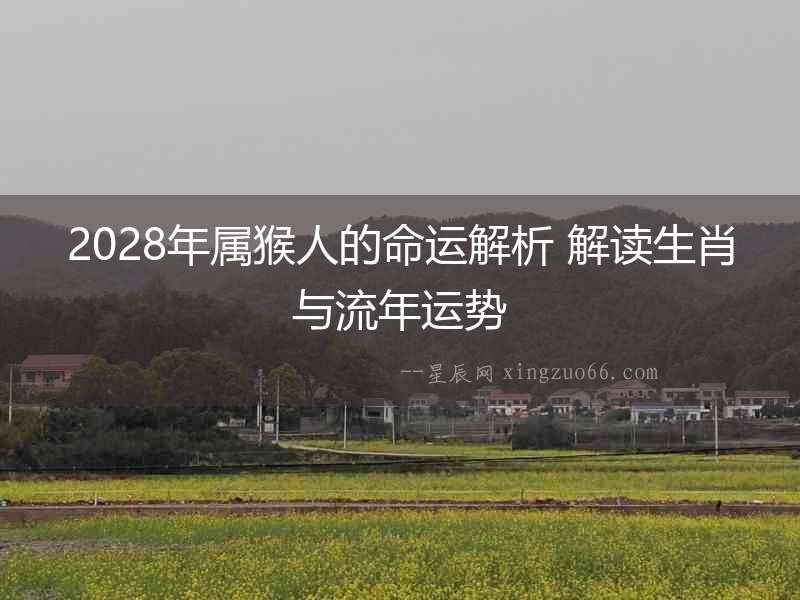 2028年屬猴人的命運解析 解讀生肖與流年運勢