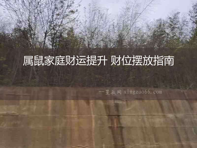 屬鼠家庭財運提升 財位擺放指南