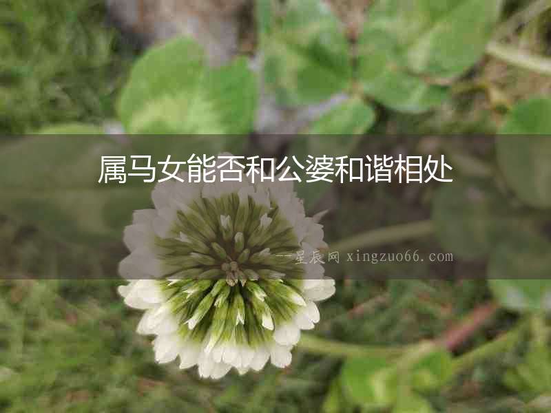 屬馬女能否和公婆和諧相處