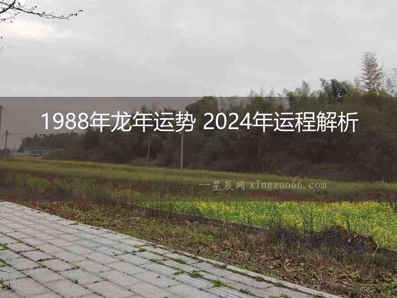 1988年龍年運勢 2024年運程解析