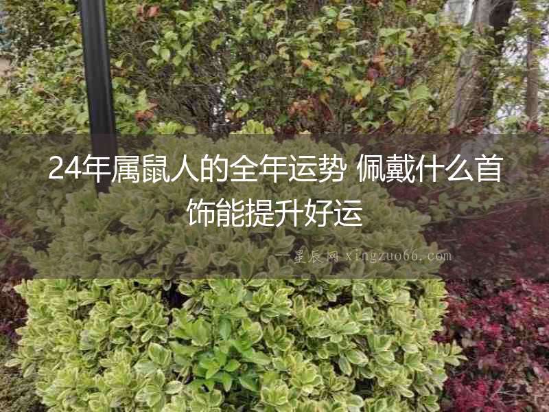 24年屬鼠人的全年運勢 佩戴什么首飾能提升好運