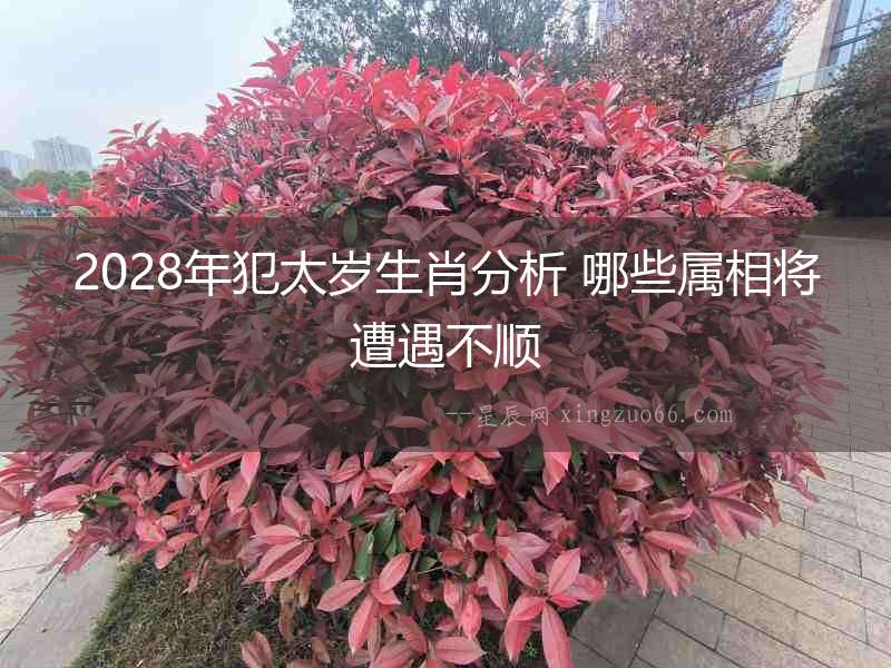2028年犯太歲生肖分析 哪些屬相將遭遇不順