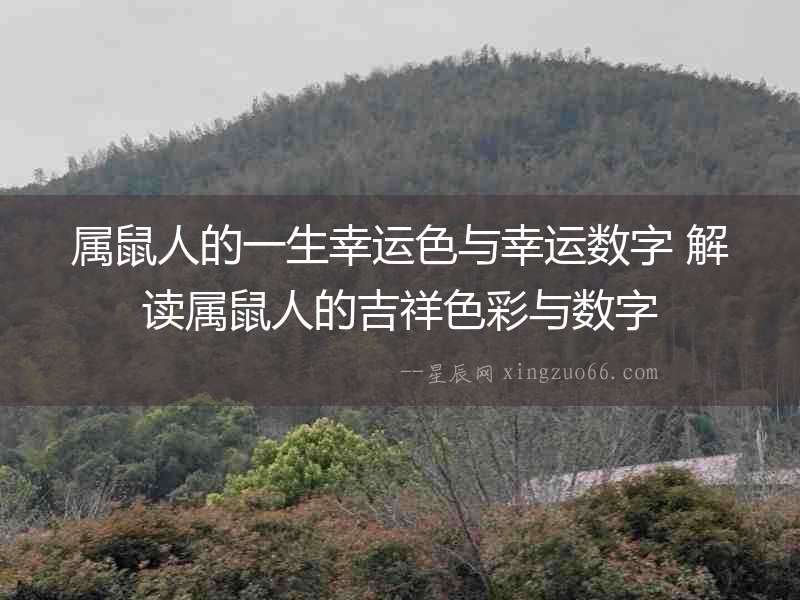屬鼠人的一生幸運色與幸運數字 解讀屬鼠人的吉祥色彩與數字