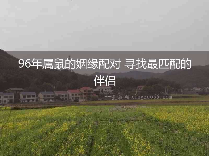 96年屬鼠的姻緣配對 尋找最匹配的伴侶