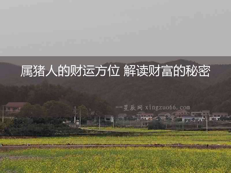 屬豬人的財運方位 解讀財富的秘密
