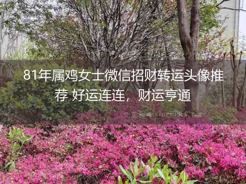 81年屬雞女士微信招財(cái)轉(zhuǎn)運(yùn)頭像推薦 好運(yùn)連連，財(cái)運(yùn)亨通