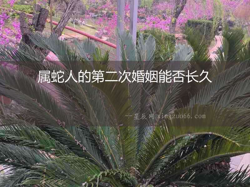 屬蛇人的第二次婚姻能否長久