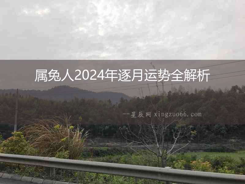 屬兔人2024年逐月運勢全解析