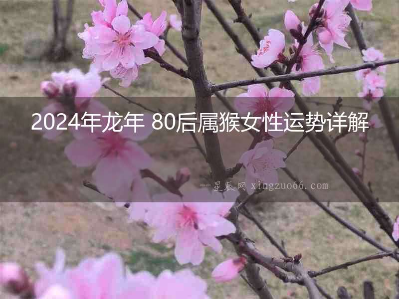 2024年龍年 80后屬猴女性運(yùn)勢(shì)詳解