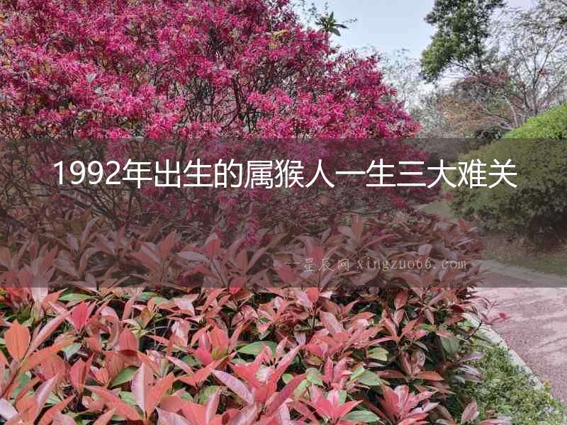 1992年出生的屬猴人一生三大難關