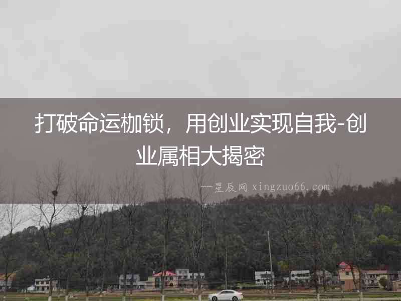 打破命運枷鎖，用創業實現自我-創業屬相大揭密