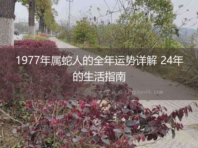 1977年屬蛇人的全年運勢詳解 24年的生活指南